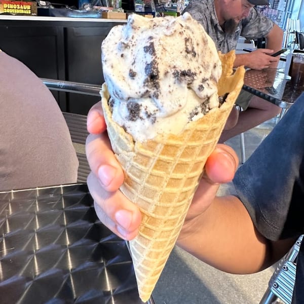 A hand holds a waffle cone filled with cookies and cream ice cream at The EVthing.